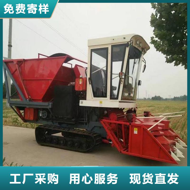 青储机-马犬用心做好每一件产品