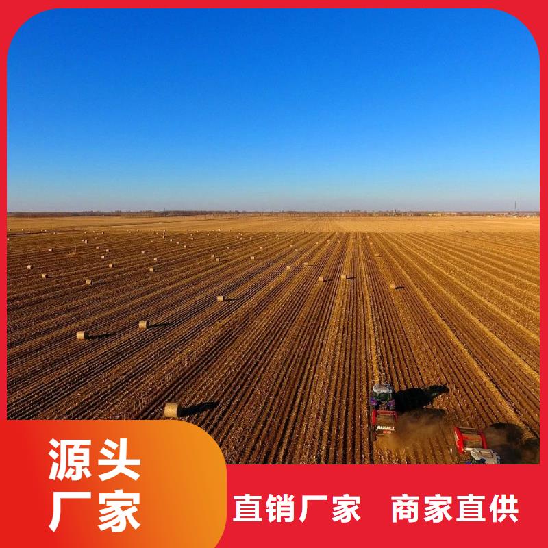 【打捆机马犬专业厂家】