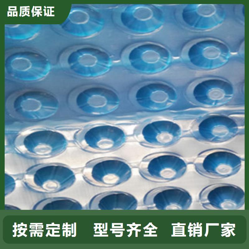 塑料排水板_土工布厂家专注细节专注品质