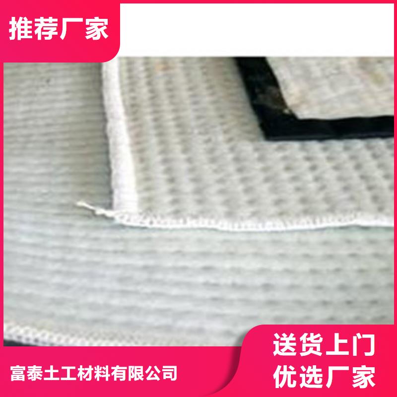 防水毯-排水板厂家专业的生产厂家