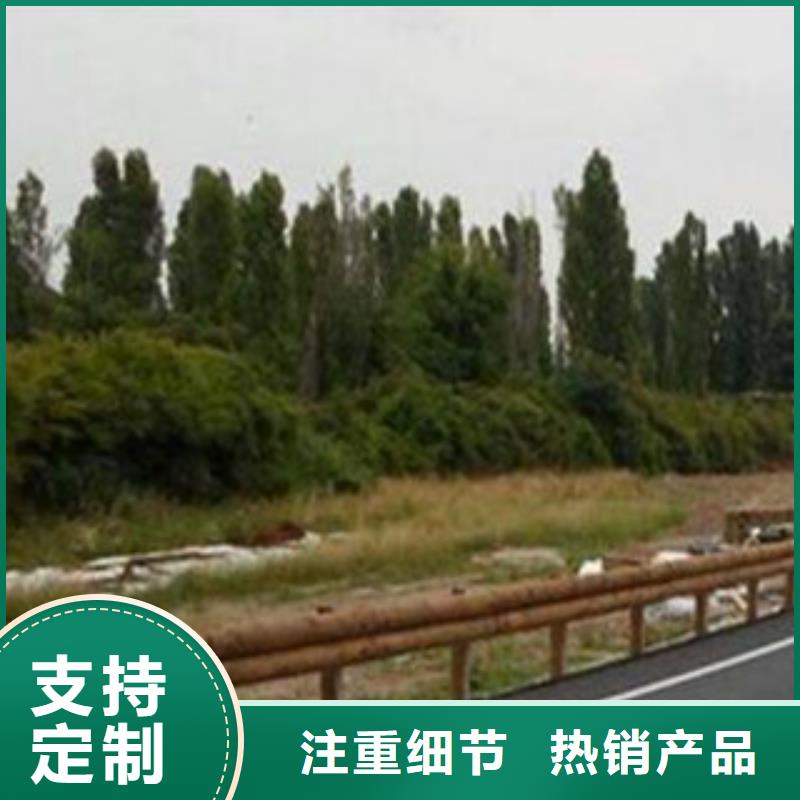 钢背木护栏厂家大桥河道栏杆科技领先