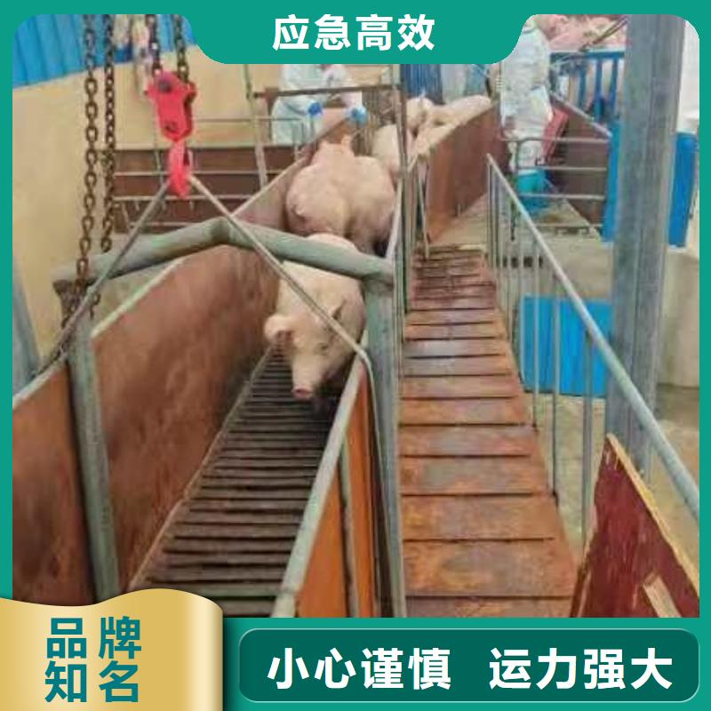 宿迁到巢湖物流公司