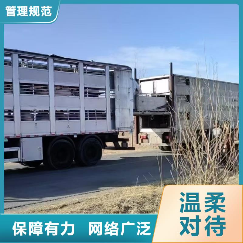 烟台到龙岩物流公司