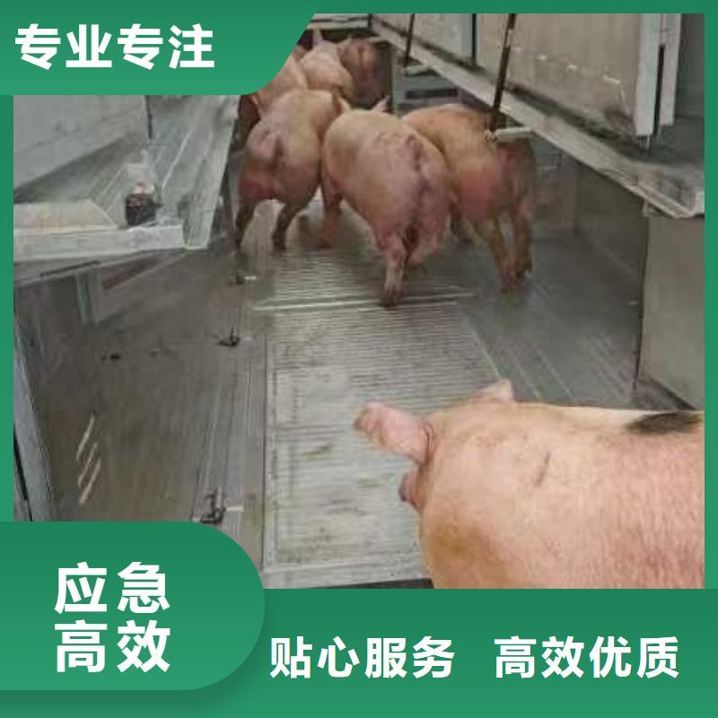 巢湖到桂林物流公司