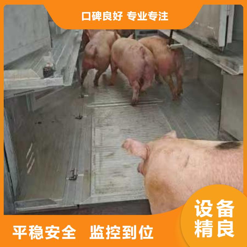 铜陵到新乡物流公司