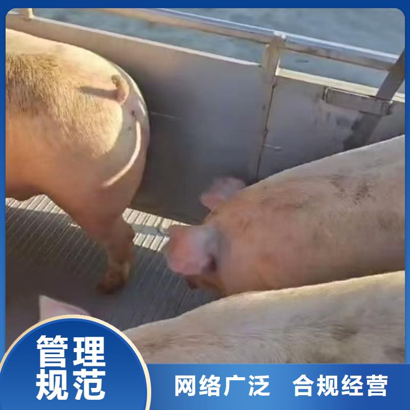 宿迁到池州物流公司