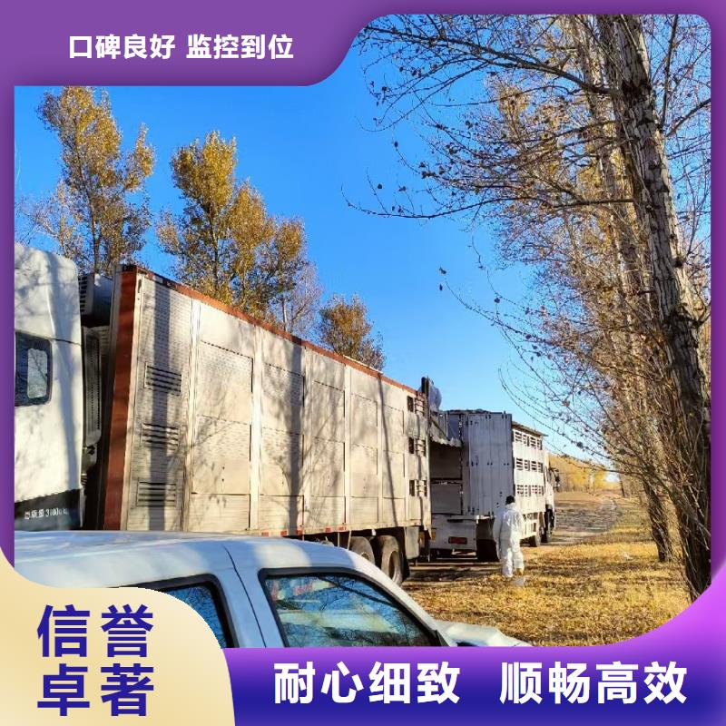 无锡到防城港物流公司