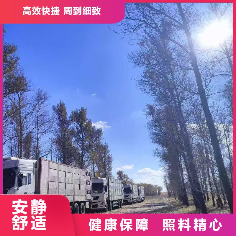 驻马店到红河物流公司