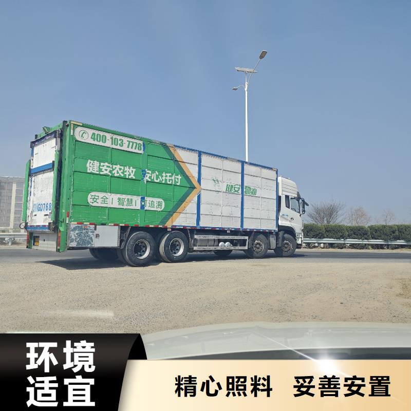 山东到海东物流公司