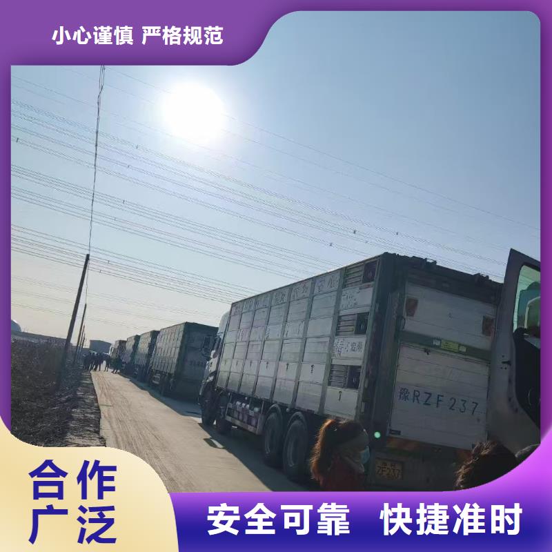 蚌埠到莱芜物流公司