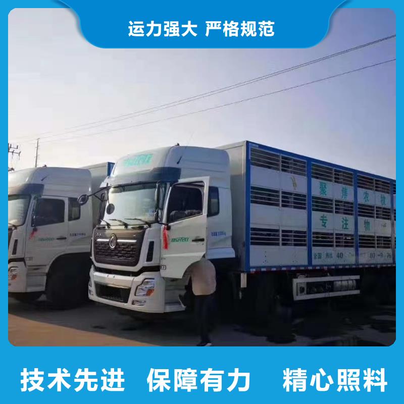 平顶山到平度物流公司