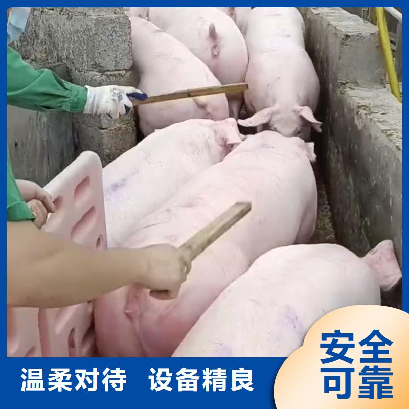 山东到海东物流公司