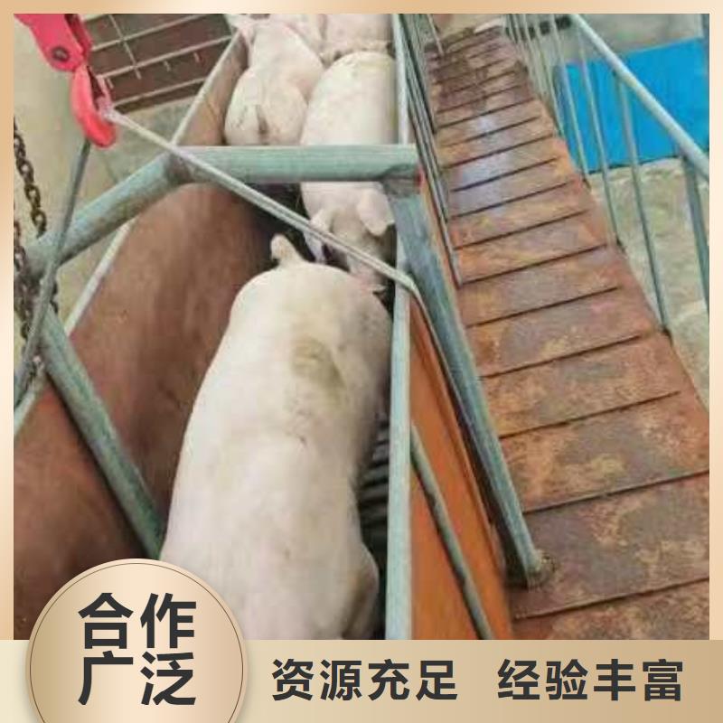 郑州到济阳物流公司