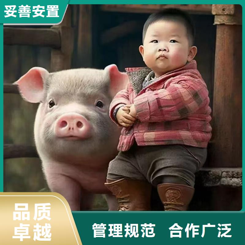 烟台到龙岩物流公司