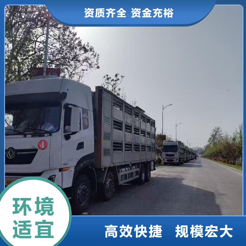 宿迁到泰安物流公司