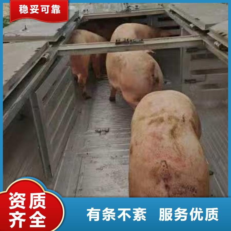 宿迁到赣榆物流公司