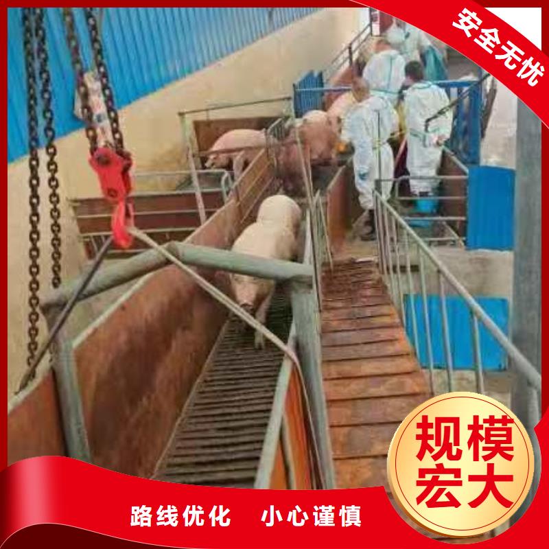 苏州到济宁物流公司