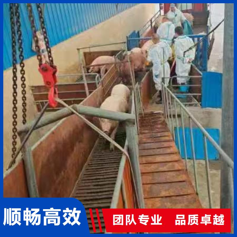 巢湖到桂林物流公司