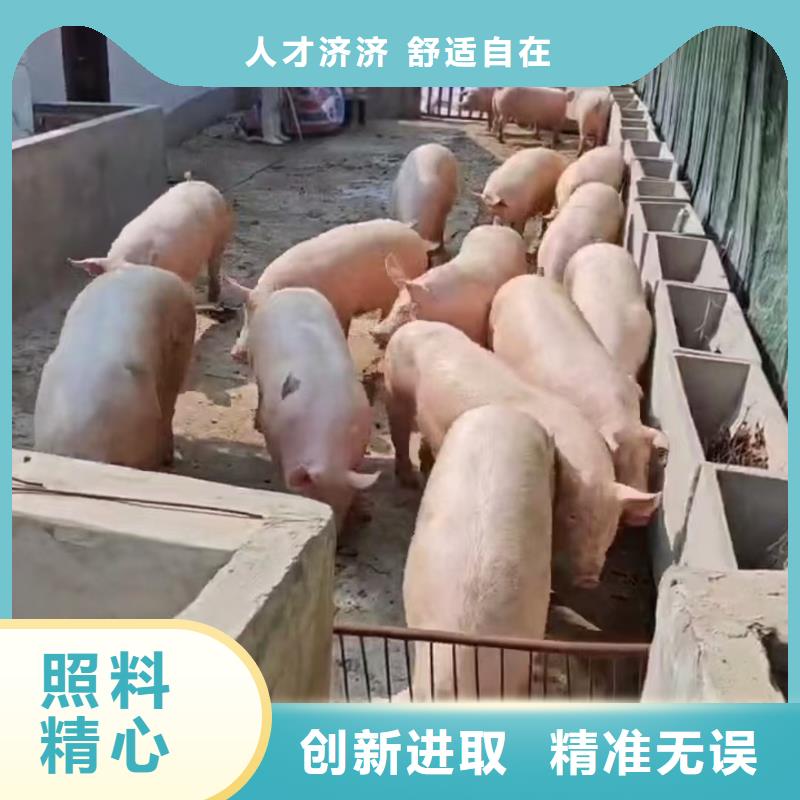 马鞍山到佛山物流公司