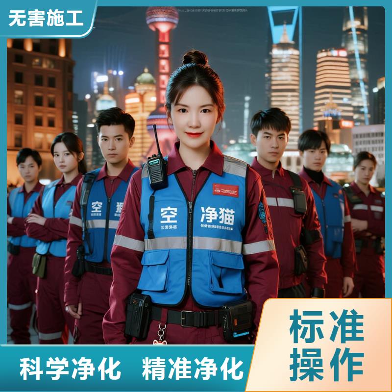 空净猫上门除甲醛除苯全国品牌直营上海嘉定区华亭镇 上门除甲醛 空净猫全国直营精准净化