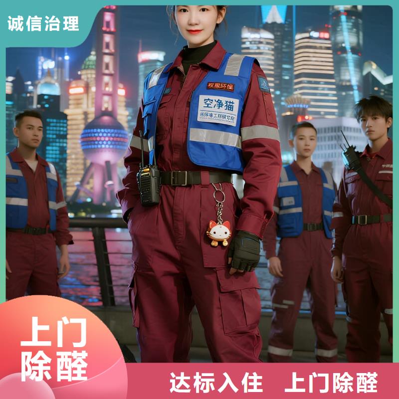 上门除甲醛检测治理找空净猫全国直营品牌镇江金山景区周边文旅住区 上门除甲醛公司 空净猫全国直营精准除醛