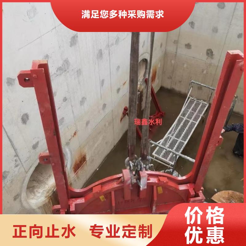 咸宁市政建设平面铸铁闸门产研一体