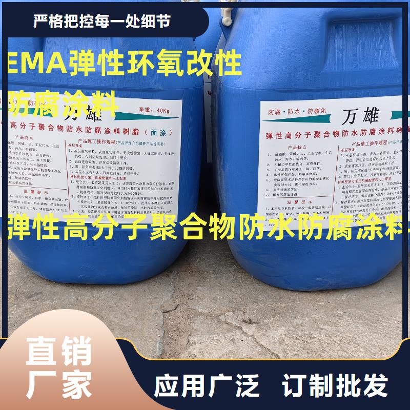 弹性重防腐特种涂料现货行业优选有机硅烷丙烯酸复合涂料