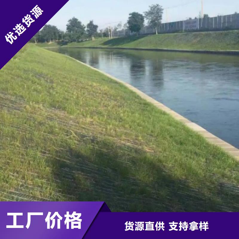 鑫海河道植物纤维毯优选货源工艺成熟植物复合固土护坡绿化毯