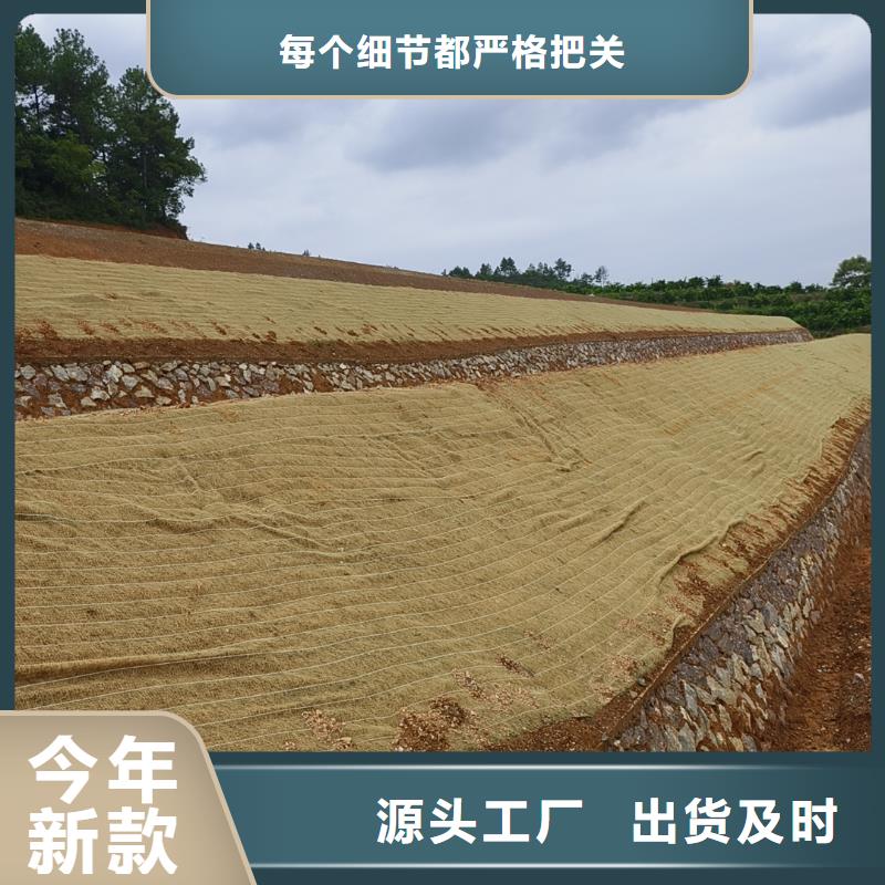 鑫海河道植物纤维毯优选货源工艺成熟植物复合固土护坡绿化毯