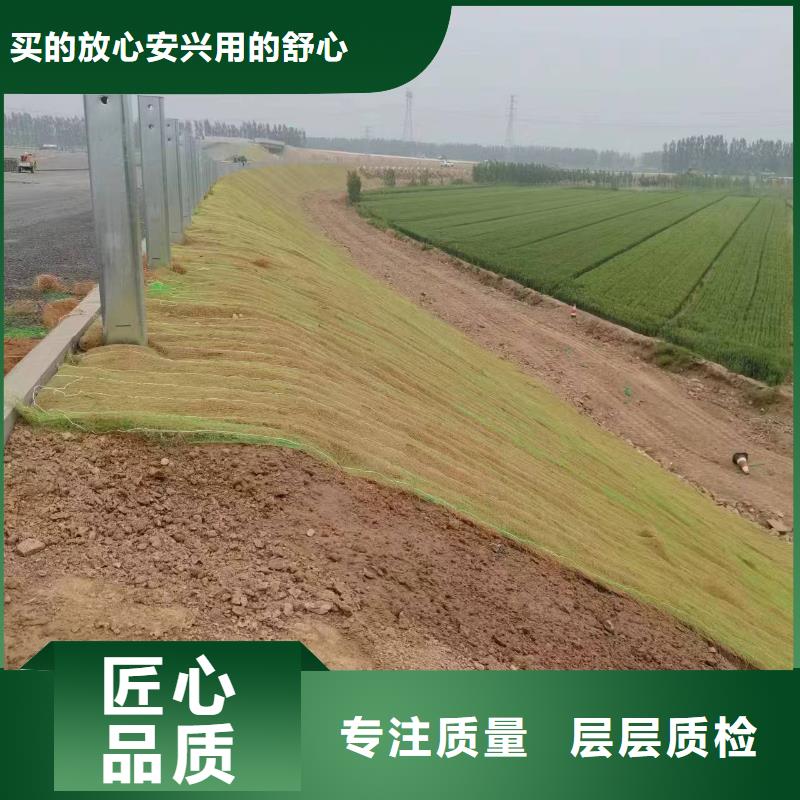 鑫海河道植物纤维毯优选货源工艺成熟植物复合固土护坡绿化毯