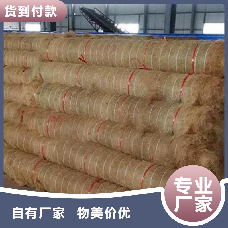 鑫海河道植物纤维毯优选货源工艺成熟植物复合固土护坡绿化毯