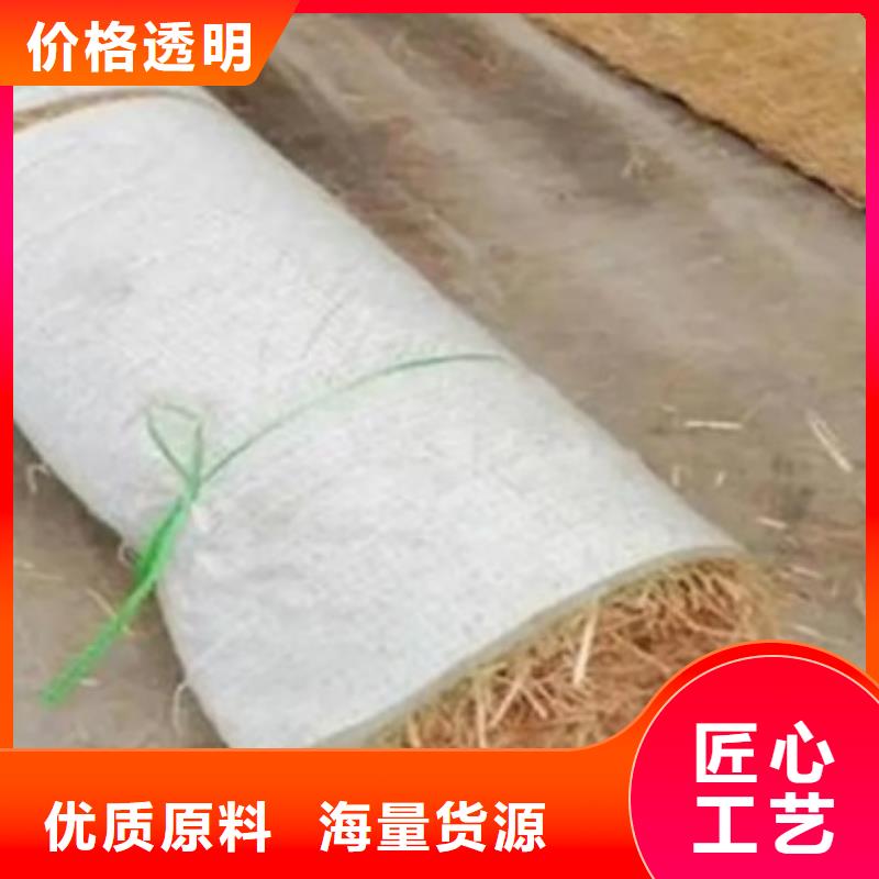 鑫海河道植物纤维毯优选货源工艺成熟植物复合固土护坡绿化毯