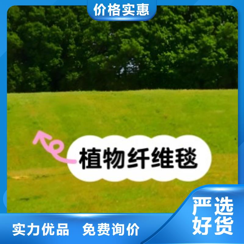 鑫海植生椰丝毯保障产品质量实在可降解绿化护坡毯