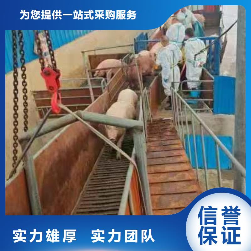 浙江到二育运输恒温车实力雄厚