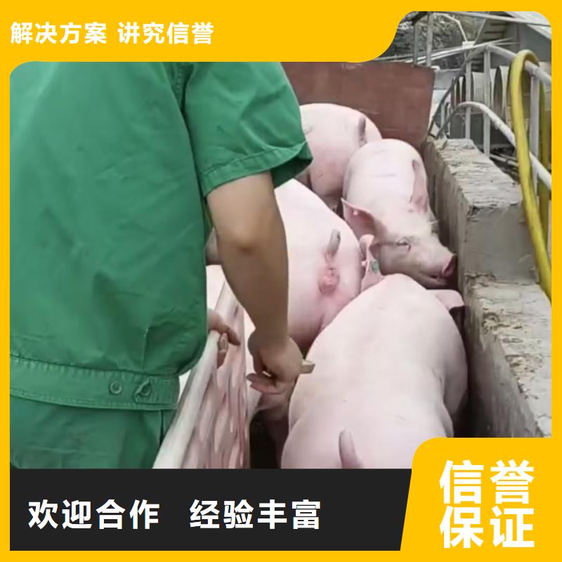 宿豫到农牧运输空调车资质齐全