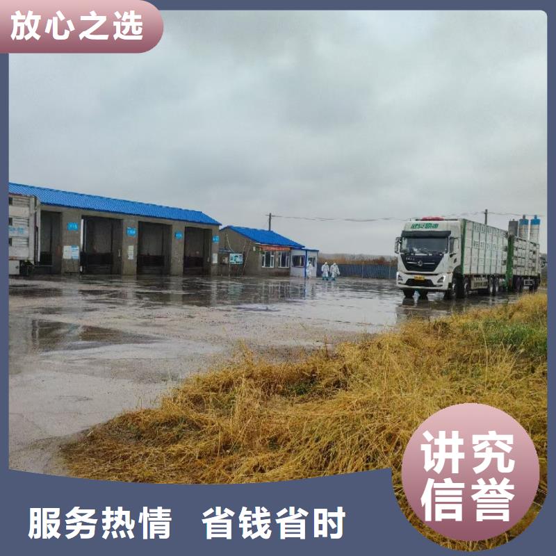 亳州到许昌物流公司