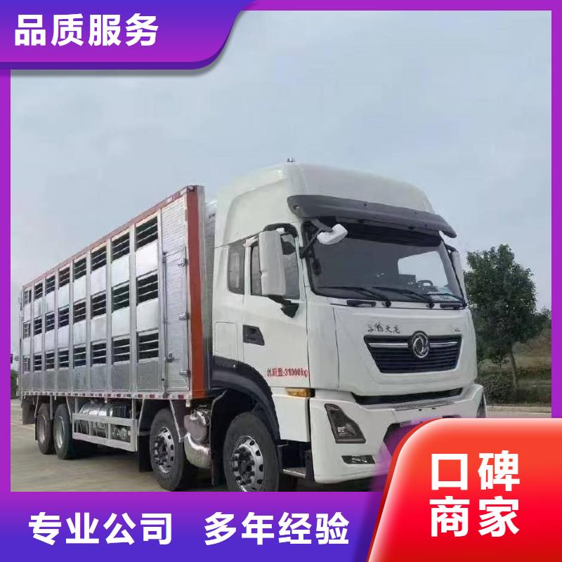 潍坊到潮州物流公司