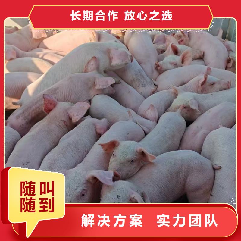 泰州到岳阳物流公司