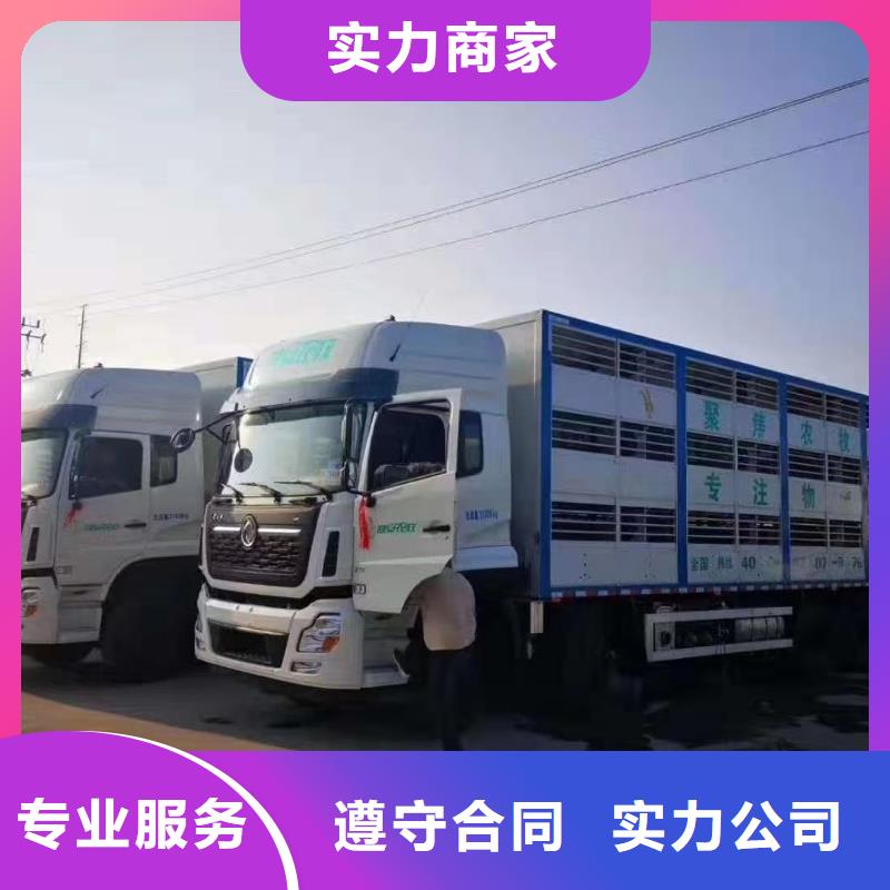 南阳到湛江物流公司