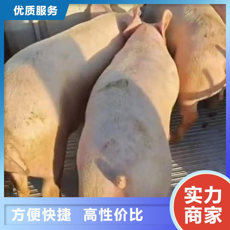 宿迁到海东物流公司