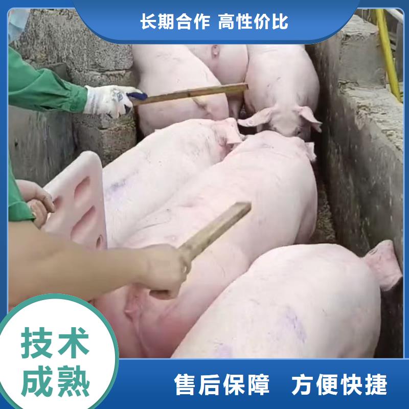 潍坊到潮州物流公司