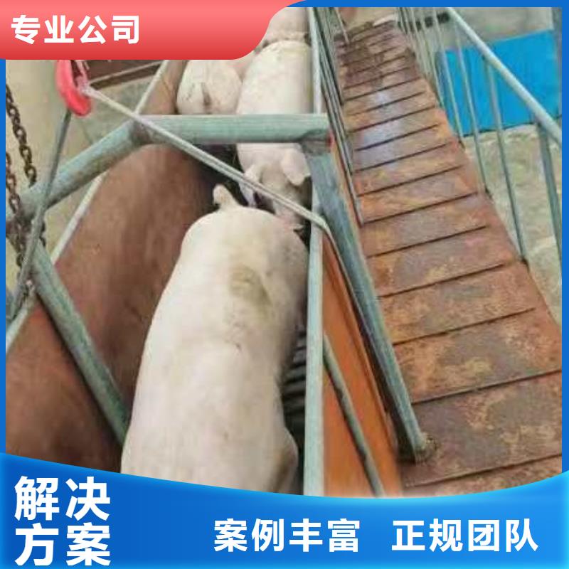 亳州到许昌物流公司