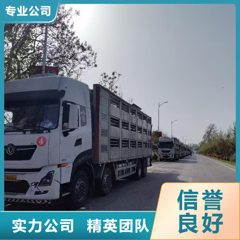 河南到湖北物流公司