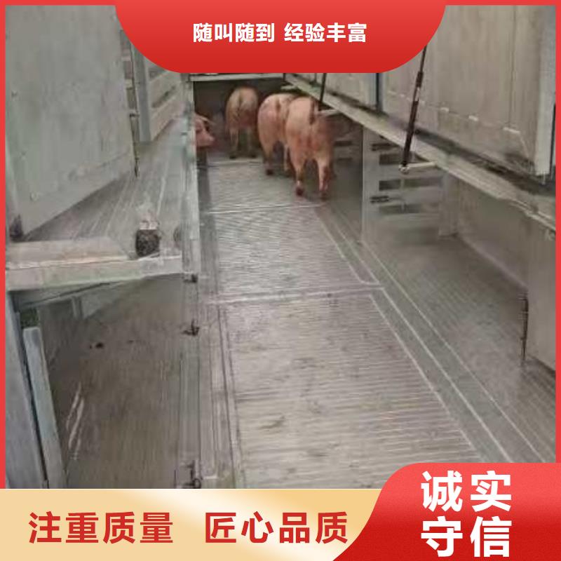 漯河到云浮物流公司