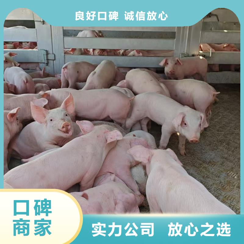 南京到朔州物流公司