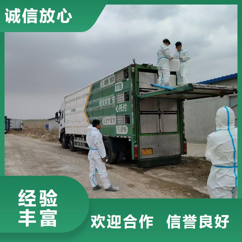 嘉兴到福建物流公司