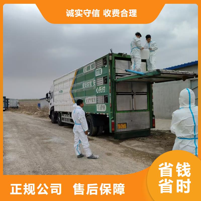 嘉兴到广东物流公司