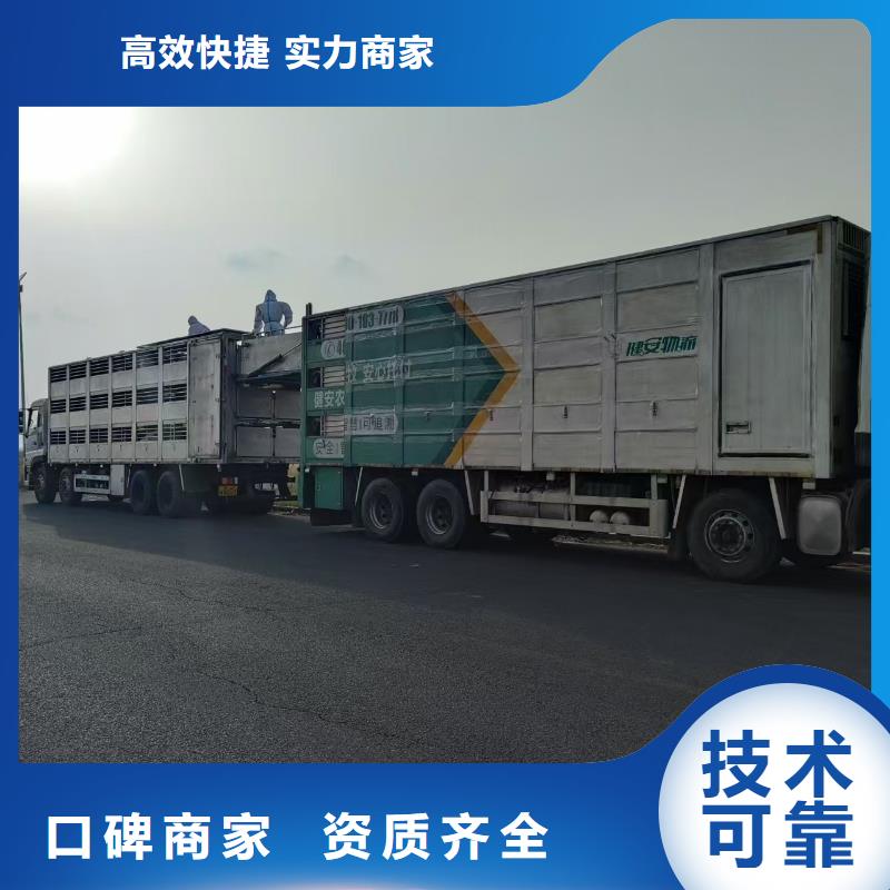 南阳到湛江物流公司