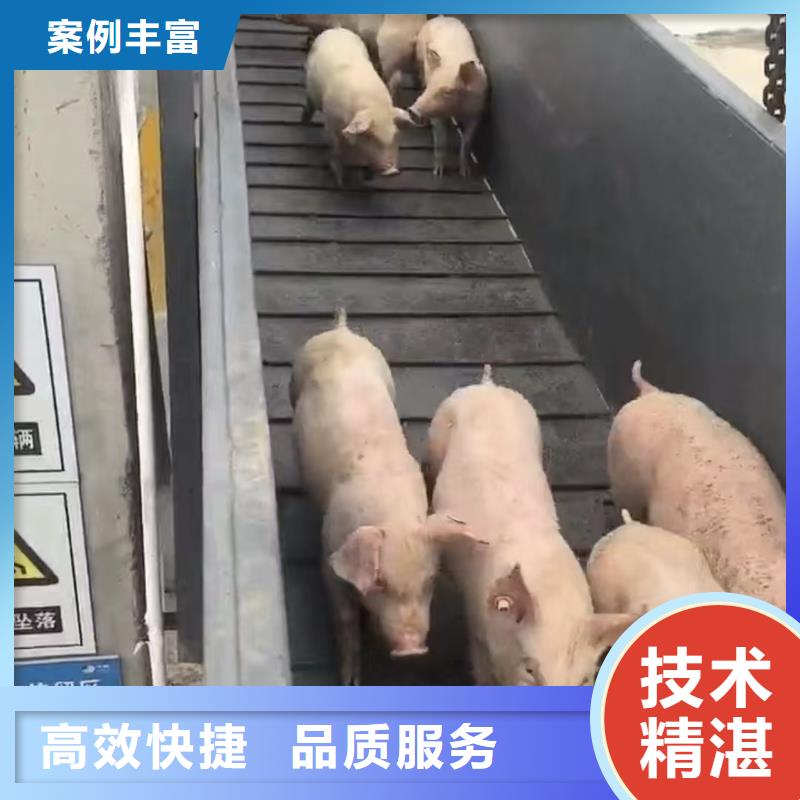 宿迁到保定物流公司