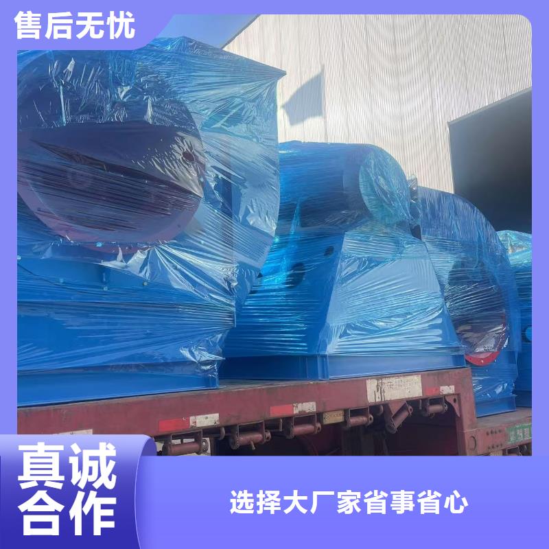 9-382D罗茨鼓风机口碑好实力强(有保障!2025已更新)二次风机